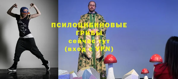 ПСИЛОЦИБИНОВЫЕ ГРИБЫ Алзамай