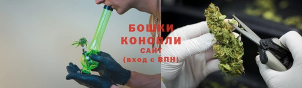 PSILOCYBIN Абдулино