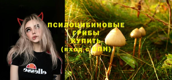 ПСИЛОЦИБИНОВЫЕ ГРИБЫ Алзамай