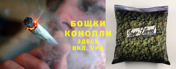 ПСИЛОЦИБИНОВЫЕ ГРИБЫ Алзамай